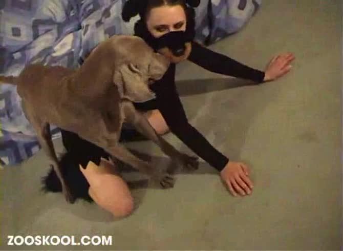 Video :Stray dog fuck a hot chick in zoophilia porn film